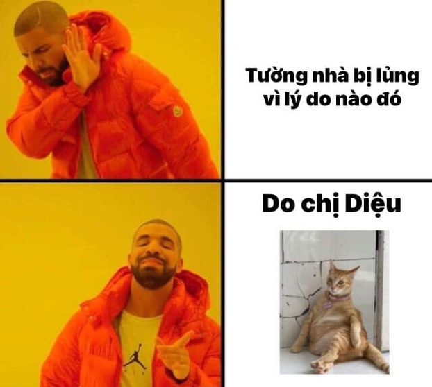 Tất cả là do 