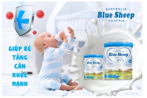 Blue Sheep Colostrum Infant