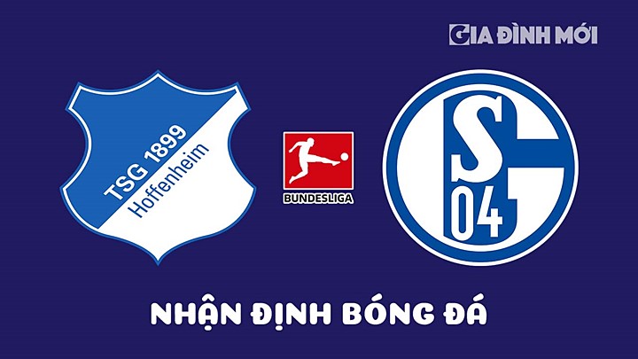 Nhận định bóng đá Hoffenheim vs Schalke 04 tại vòng 27 Bundesliga 2022/23 ngày 10/4/2023