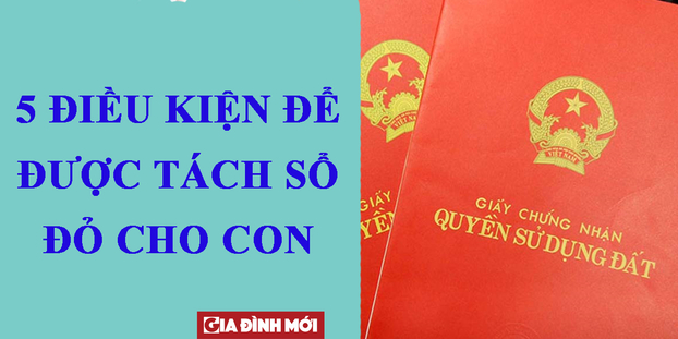 Tách sổ đỏ cho con: Điều kiện, thủ tục và chi phí.