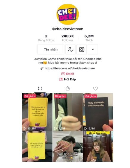 Kênh Tiktok của Choidee với hơn 248K follower 