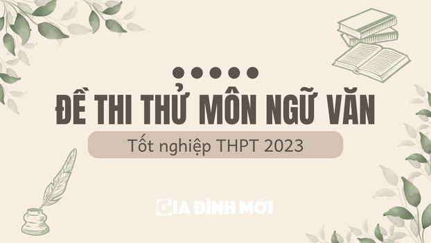 de-thi-thu-mon-ngu-van-01