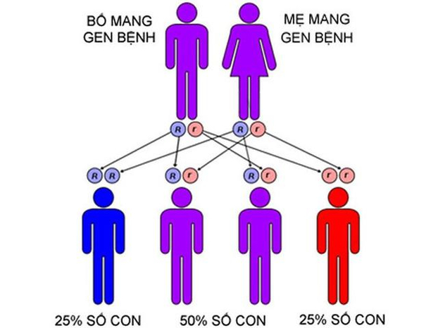 Cơ chế di truyền của bệnh Teo cơ tủy sống.