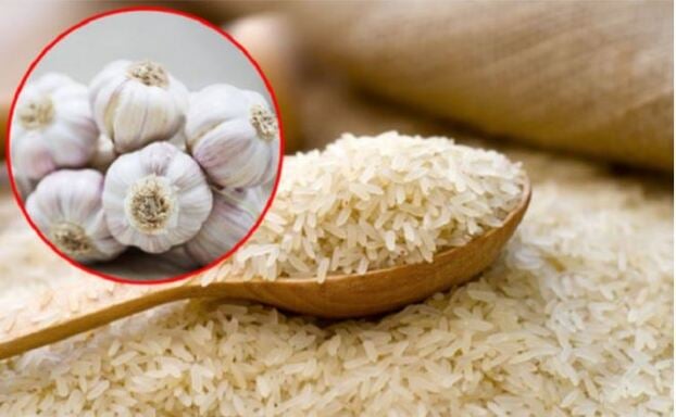 Vùi củ tỏi vào gạo, gạo sẽ không bị mọt.
