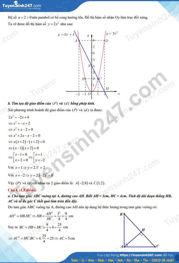 dap-an-de-thi-vao-10-toan-long-an-2023-3-result