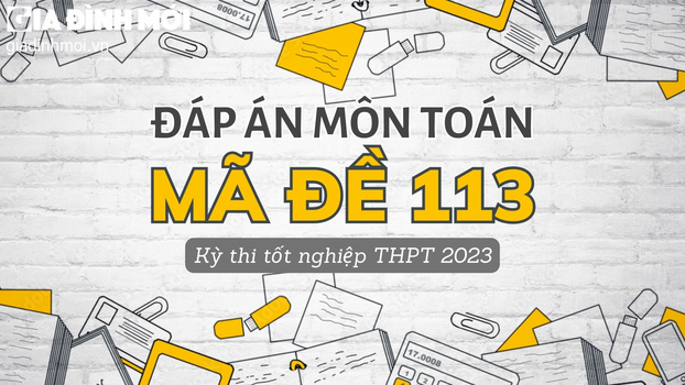 Đáp án môn Toán mã đề 113 tốt nghiệp THPT 2023 chính xác nhất