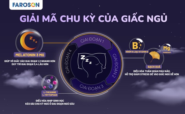 Faroson Sleep Cycle - Giải pháp hỗ trợ toàn vẹn chu kỳ giấc ngủ