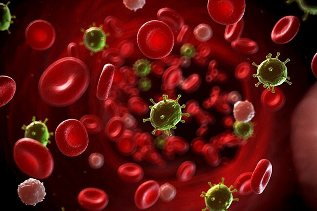 Nhiễm trùng huyết xảy ra khi virus, vi khuẩn, nấm, ký sinh trùng xâm nhập vào máu.