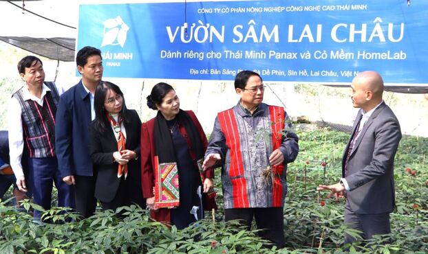 Ông Nguyễn Quang Thái - Chủ tịch HĐQT Công ty CP Dược Phẩm Thái Minh giới thiệu với Thủ tướng về tiềm năng và định hướng phát triển cây sâm Lai Châu.