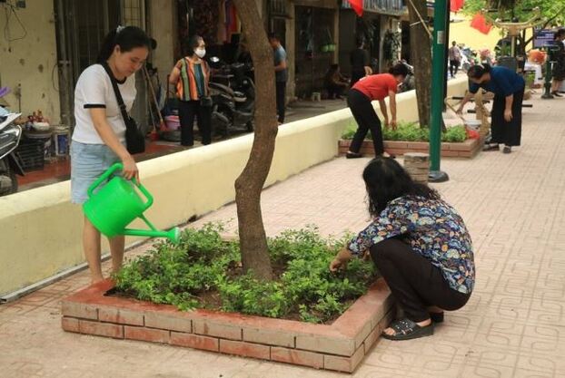 Hội viên Phụ nữ chăm sóc cây xanh tại sân tập thể.