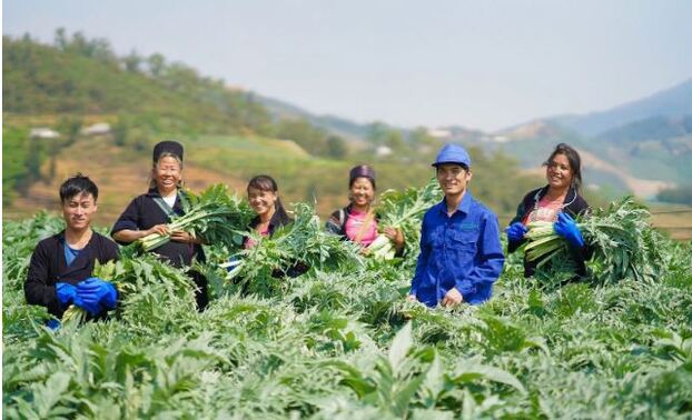 Thúc đẩy phát triển vùng trồng dược liệu quý vùng dân tộc thiểu số và miền núi, tạo sinh kế cho đồng bào.