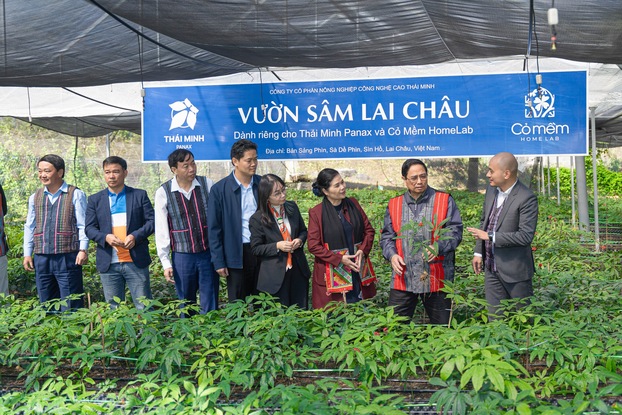 Founder & Chủ tịch HĐQT của Cỏ Mềm đón tiếp Thủ tướng Chính phủ Phạm Minh Chính tại vùng trồng sâm Lai Châu (tháng 11/2023)
