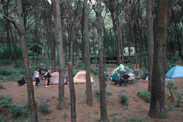 Các biker dựng lều trong rừng thông 