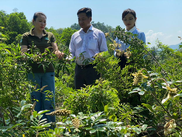 Bà Bàn Thị Liên (ngoài cùng bên trái) tâm huyết trồng, sản xuất và tiêu thụ sản phẩm từ thảo dược.