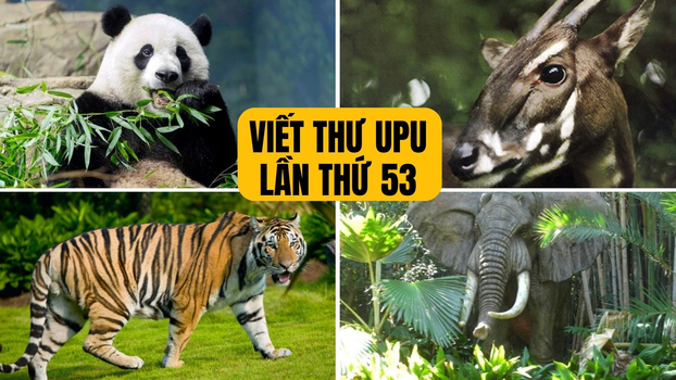 viet-thu-upu-lan-thu-53-nam-2024