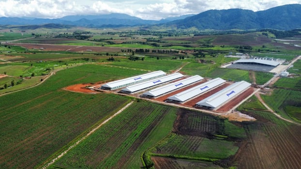 Trang trại Vinamilk Lào – Jagro tại cao nguyên Xiêng Khoảng (Lào) có tổng mức đầu tư giai đoạn một là 150 triệu USD.