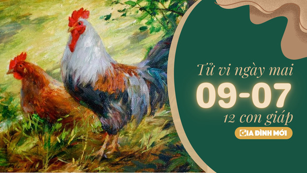 Tử vi thứ 3 của 12 con giáp ngày 9/7 năm 2024 dương lịch.