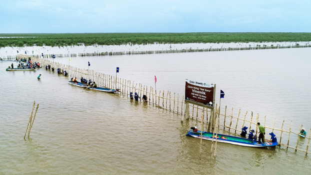 Các hoạt động trồng cây được Vinamilk triển khai đều kêu gọi sự tham gia của nhân viên, đoàn viên thanh niên, cộng đồng…