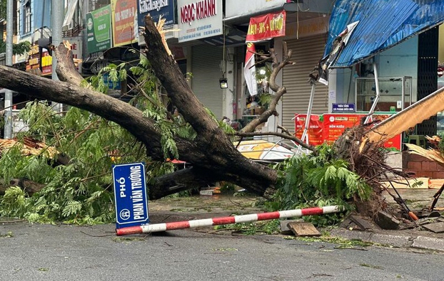 Hà Nội triển khai các biện pháp khắc phục, giải tỏa cây xanh gãy, đổ sau cơn bão số 3. Ảnh minh họa