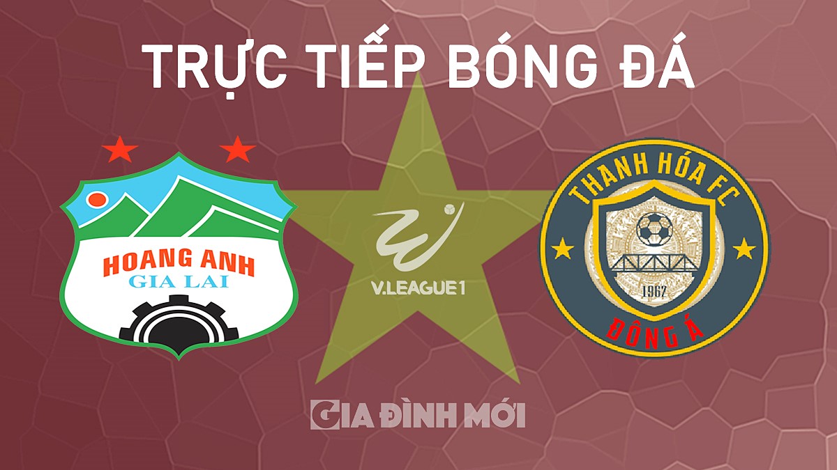 Trực tiếp bóng đá V-League 2024/25 giữa HAGL và Thanh Hóa hôm nay 26/10/2024