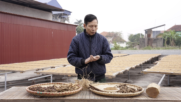 ông Nguyễn Như Khanh, Chủ tịch Hội Làng nghề hương xạ thôn Cao, giới thiệu các nguyên liệu thảo mộc làm hương.