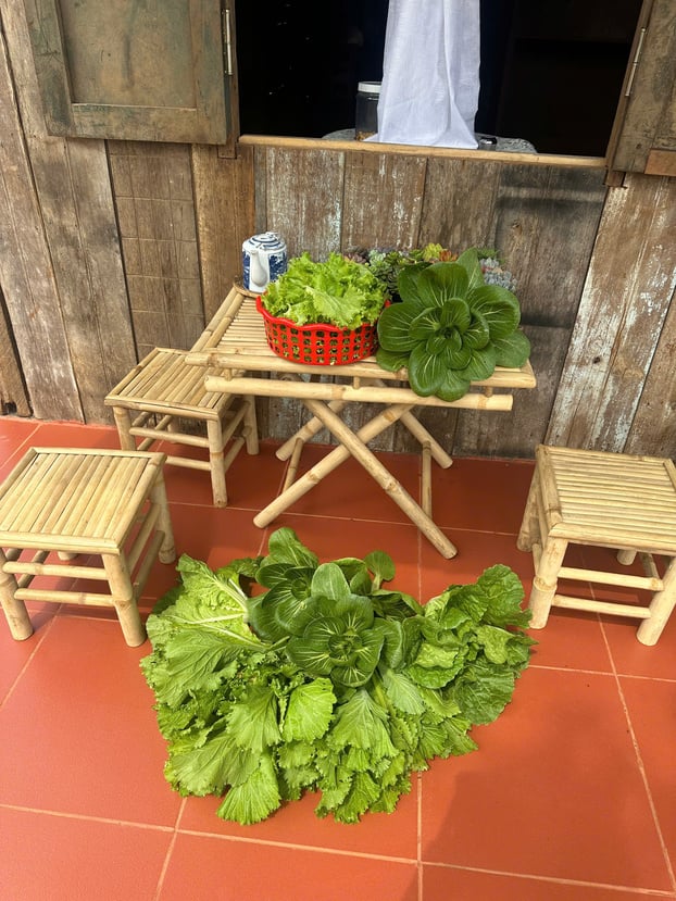 Rau trong vườn nhà Thùy