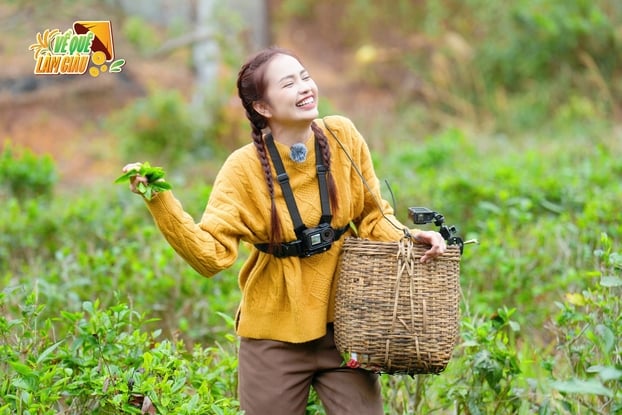 Long Vũ và Ngọc Châu trong thử thách hái chè.