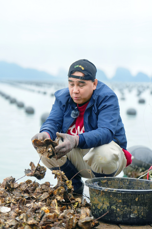 MC Quyền Linh hào hứng khi được tách và ăn hàu ngay tại chỗ.