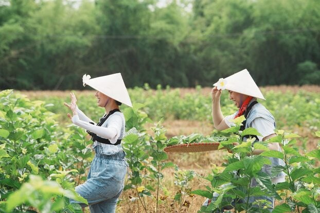 Nghệ sĩ của chương trình 