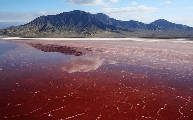 Hồ Natron với màu nước đỏ đặc trưng. (Ảnh: Tanzania)