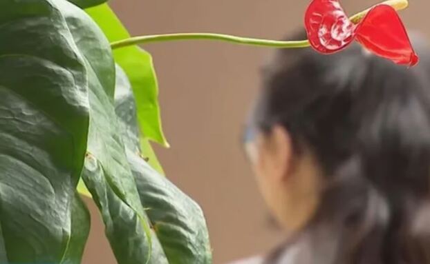 Bà Wu, một trong những nạn nhân đầu tư vào ứng dụng