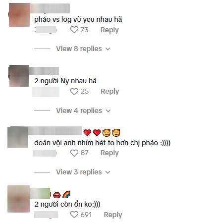 Người hâm mộ thắc mắc về mối quan hệ giữa Pháo và Long Vũ.