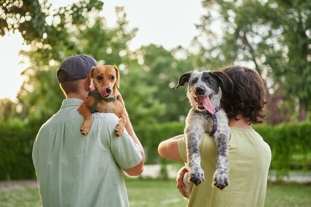 Dù đôi khi người và chó trông giống nhau, nghiên cứu cho thấy sự hòa hợp mới là yếu tố then chốt để xây dựng mối quan hệ tích cực với thú cưng. Ảnh: Shutterstock