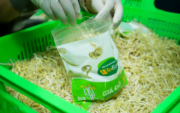 Sản phẩm giá đỗ WinEco được đóng gói tại nguồn với nhãn thông tin đầy đủ, đạt tiêu chuẩnVietGAP.