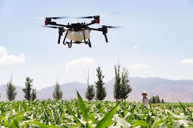 Drone phun thuốc tại cánh đồng lúa ở Việt Nam. Ảnh: XAG