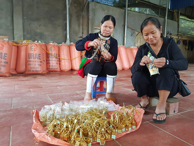 HTX Nông nghiệp Bản Dao - Thống Nhất tập trung đẩy mạnh sản xuất tinh dầu sả chanh