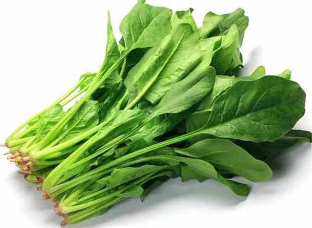 cai-bo-xoi-rh