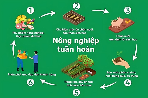 Xử lý tuần hoàn là mô hình bền vững cho tương lai Ảnh: Leanh