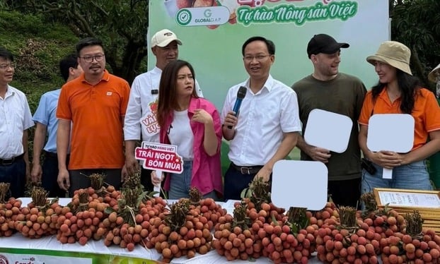 Ông Phạm Văn Thịnh, Phó Chủ tịch UBND tỉnh Bắc Ninh (thứ 3 phải sang), tham gia phiên livestream hôm 29/6. Ảnh: NVCC
