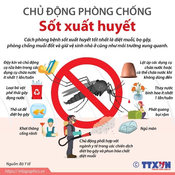 Người dân nên chủ động phòng sốt xuất huyết - ảnh: TTXVN