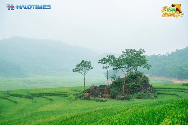 Vẻ đẹp xanh mướt tại Pù Luông (Thanh Hóa).