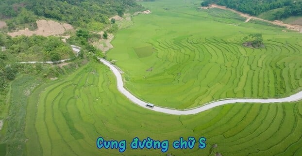cung-duong-chu-s
