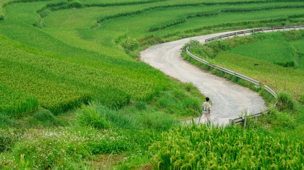 Nam diễn viên Long Vũ thong thả bước khi giữa màu xanh mướt ở cung đường hình chữ S.
