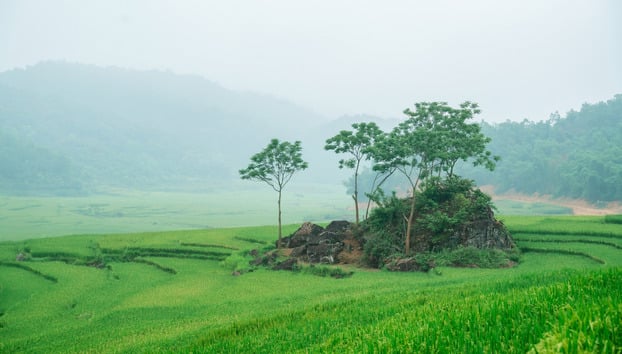 Một màu xanh mướt phủ kín Pù Luông, biến nơi đây trở thành điểm đến không thể bỏ lỡ với du khách.