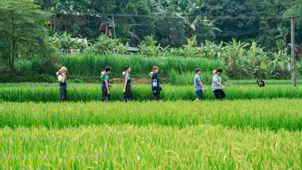 Những khung cảnh tuyệt đẹp tại Pù Luông khiến nhiều người mê mẩn.