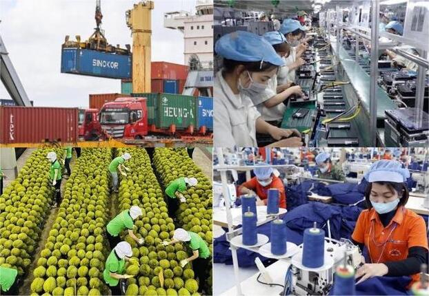 Hàng hóa xuất khẩu có xuất xứ Việt Nam bị Mỹ đánh thuế đối ứng 20% - ảnh minh họa