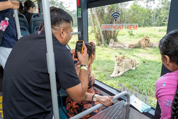 Tour Nhốt người thả thú luôn nằm trong danh sách “phải thử”của du khách khi đến Phú Quốc
