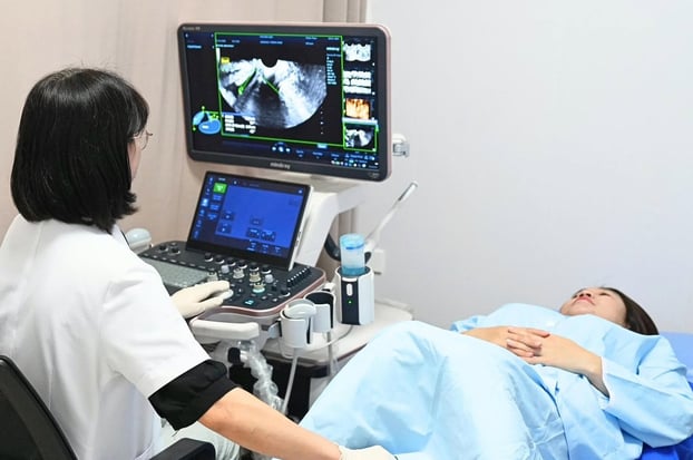 Sinh con thứ hai được nghỉ thai sản 7 tháng. Ảnh: Thanh Hương