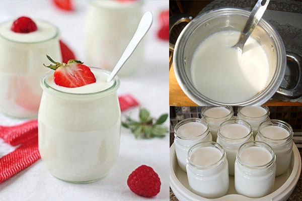 Cách làm yaourt bằng sữa tươi đơn giản tại nhà cực tốt cho sức khỏe