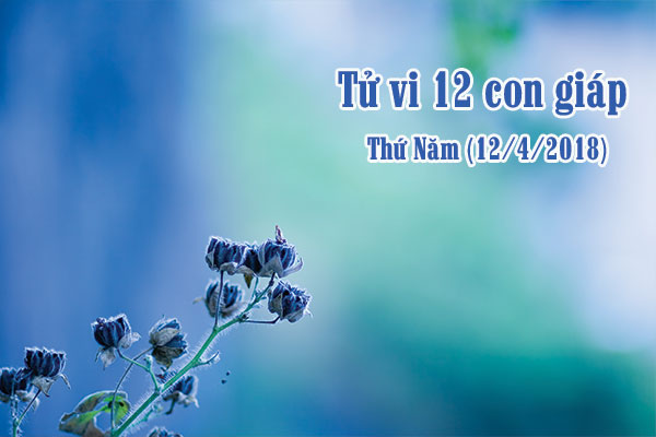 tu-vi-12-con-giap-ngay-12-4-2018